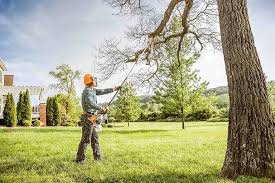 Best Landscape Design and Installation  in San Diego Country Estates, CA