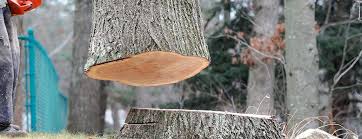 Best Commercial Tree Services  in San Diego Country Estates, CA